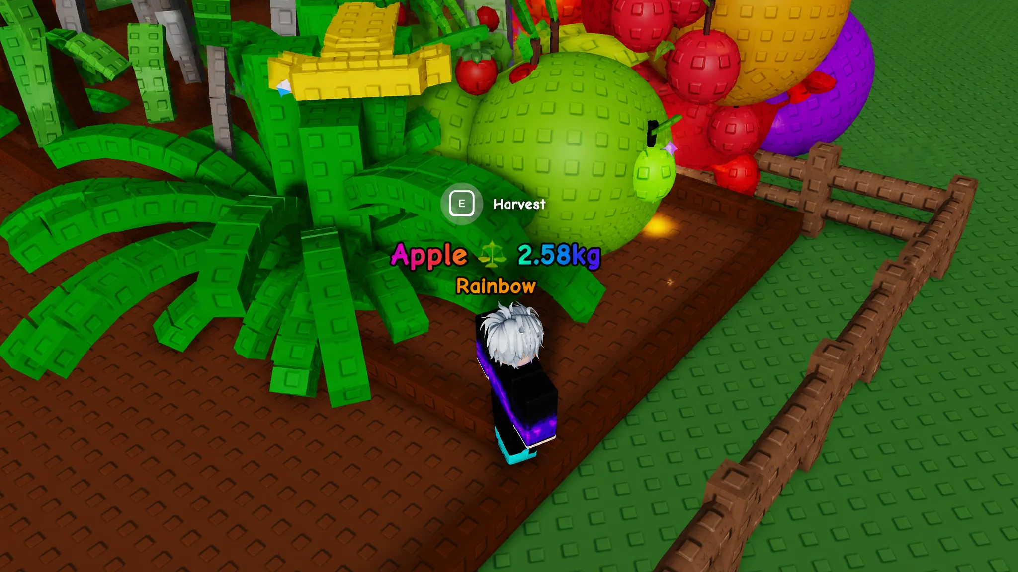 Rainbow apple plant seed in Grow a Garden 2
