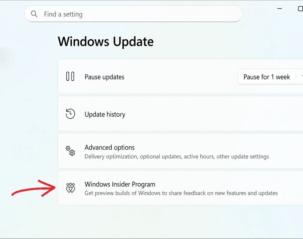 Windows 11 Insider Program settings
