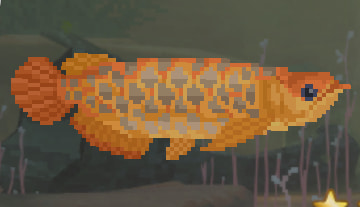 Asian Arowana