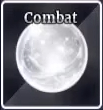 Combat