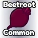 Beetroot