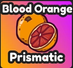 Blood Orange
