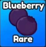 Blueberry