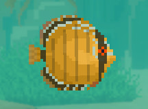 Brown Discus