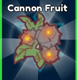Cannon Fruit