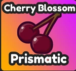 Cherry Blossom