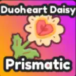 Duoheart Daisy