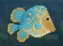 Eomesodon