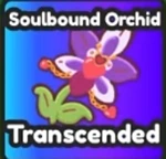 Friend O' Tron (1/1000 chance)