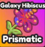 Galaxy Hibiscus