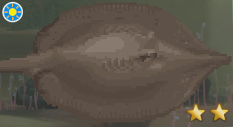 Giant Freshwater Stingray