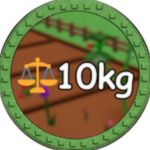 Grow a fruit weighing 10kg
