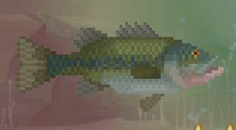 Largemouth Bass