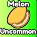 Melon