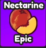 Nectarine