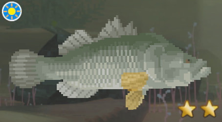 Nile Perch