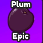 Plum