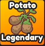 Potato