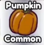 Pumpkin