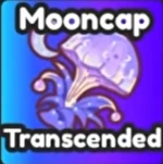 Transcended