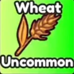Wheat