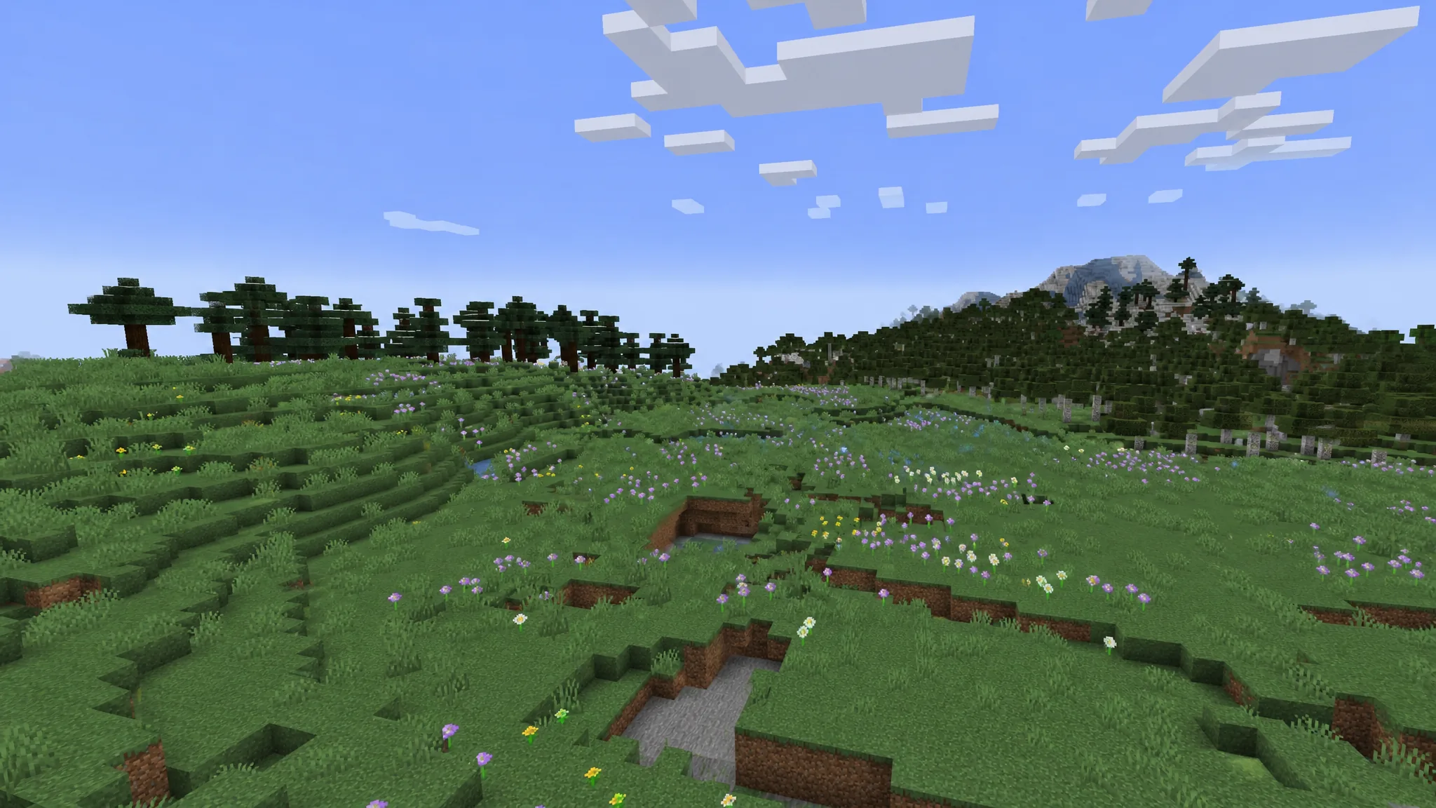 OptiFine Minecraft Mod