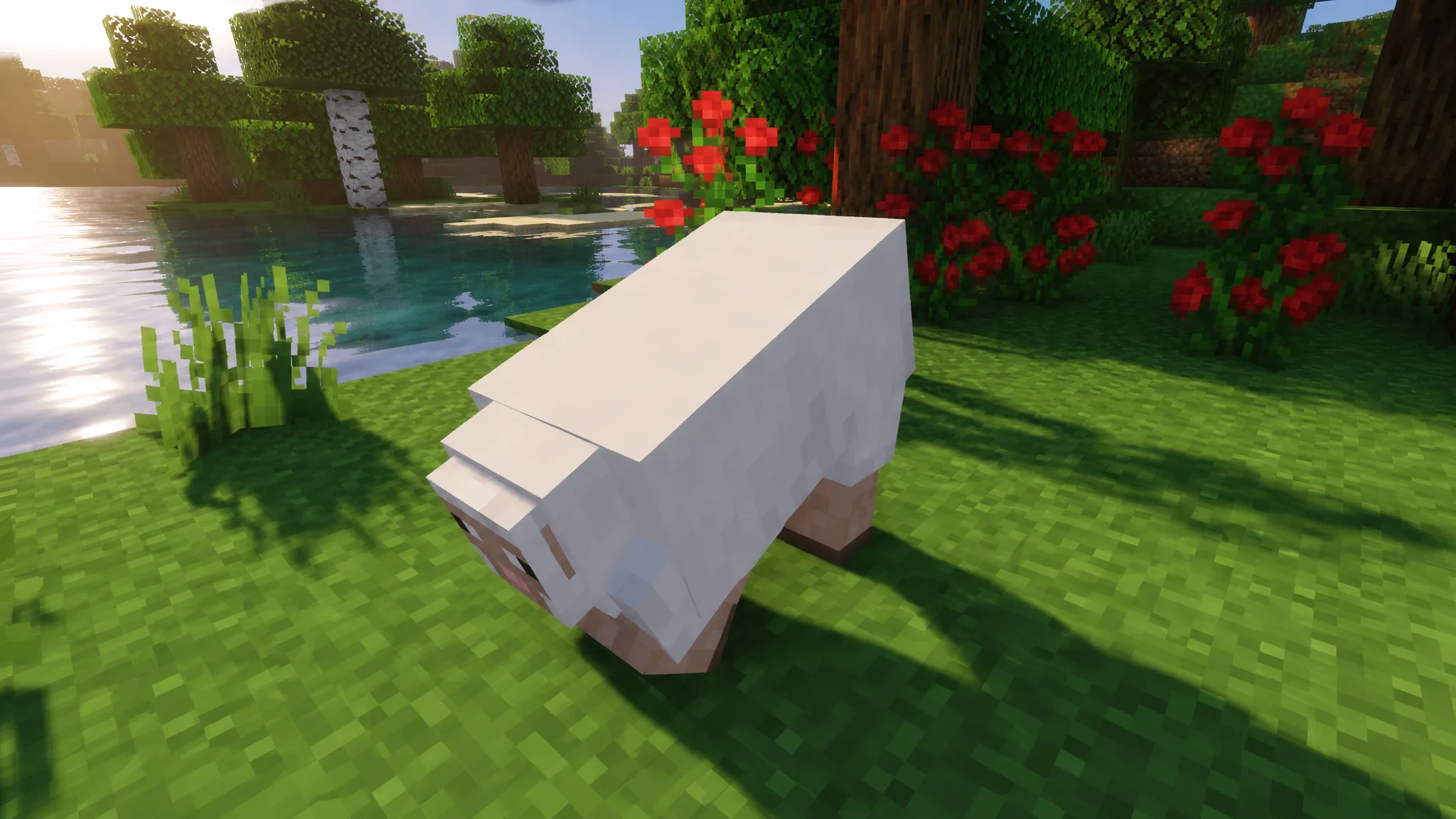Better Animations Collection Mod