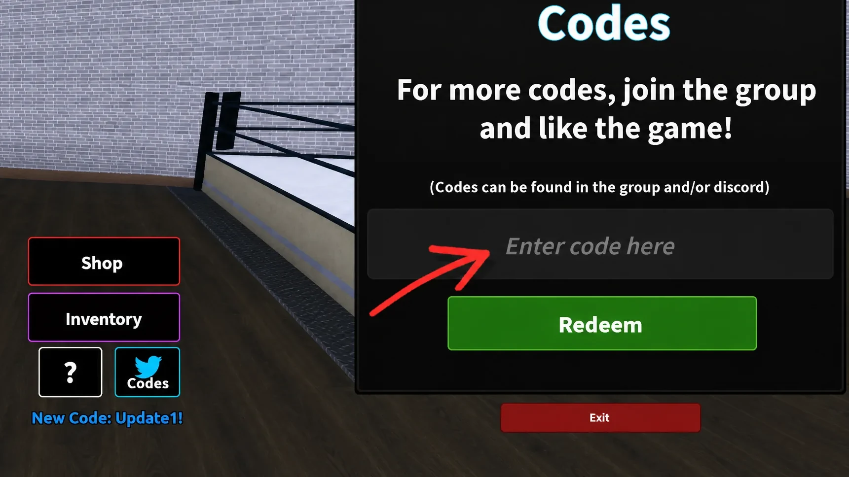 Instructions on redeeming Coach a Fighter codes