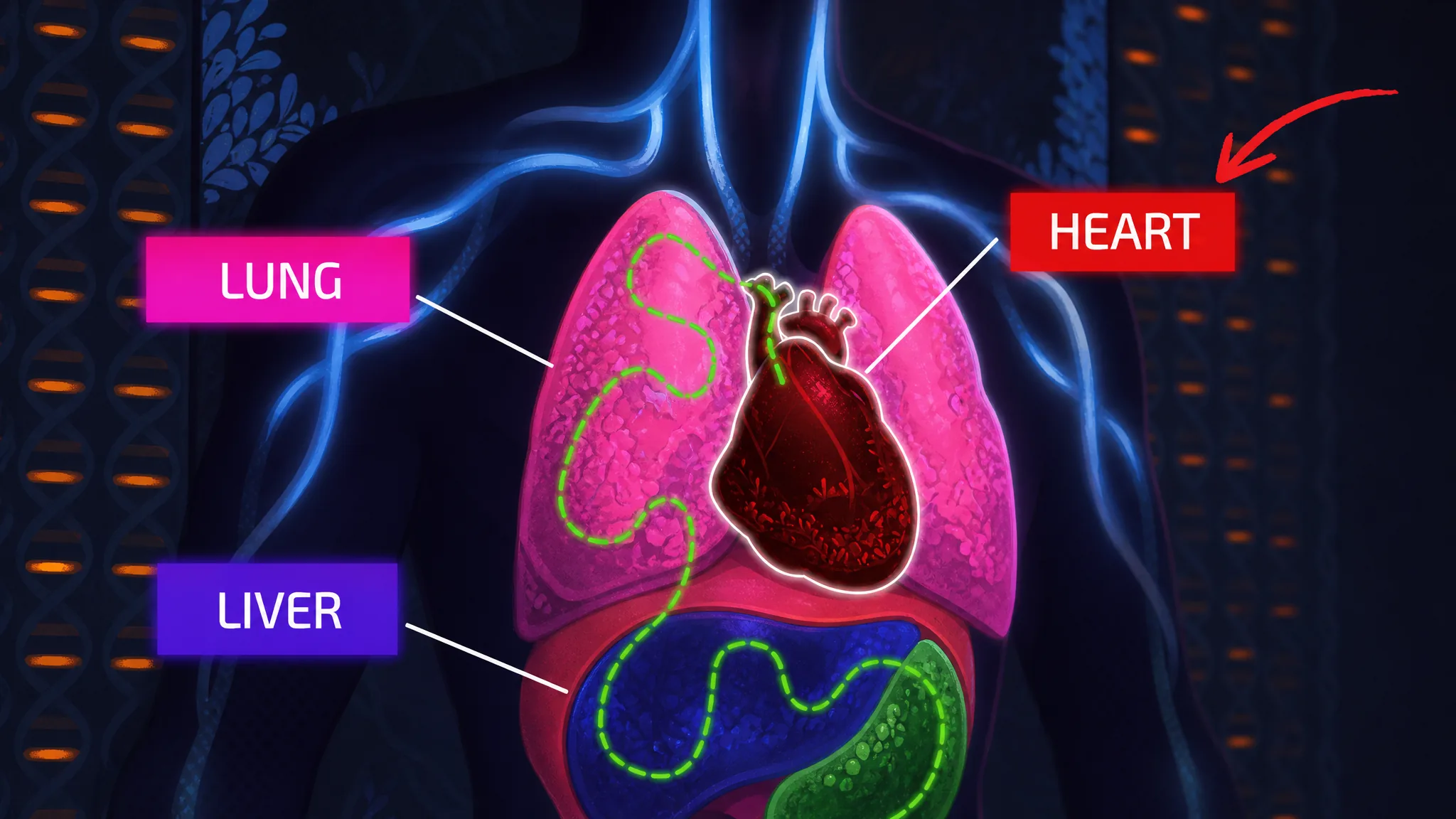 Defeating the Heart in Pandemic