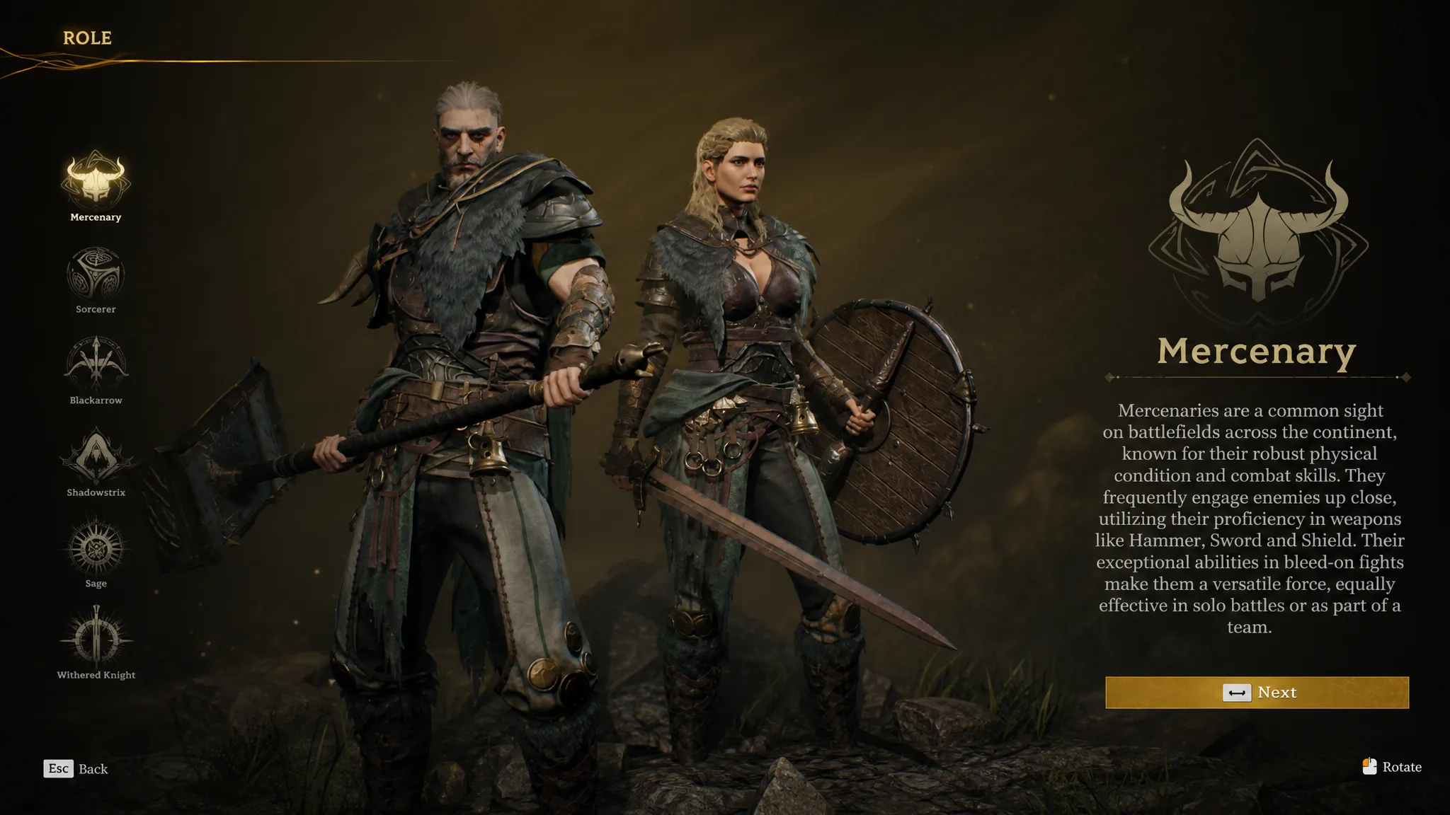 Mercenary in Mistfall Hunter