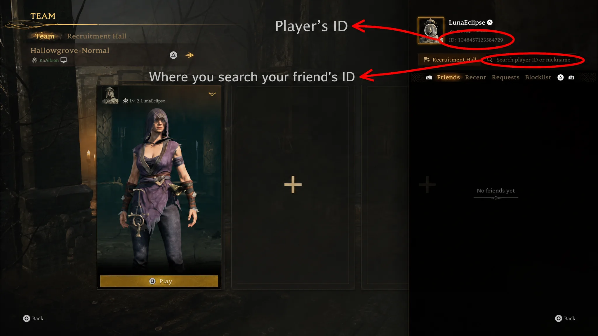 Player's ID in Mistfall Hunter