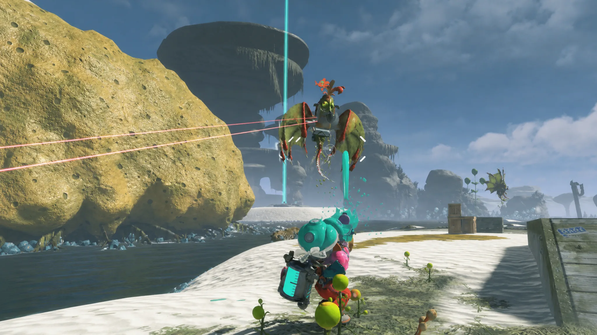 Facing the flying Salivator on the beach