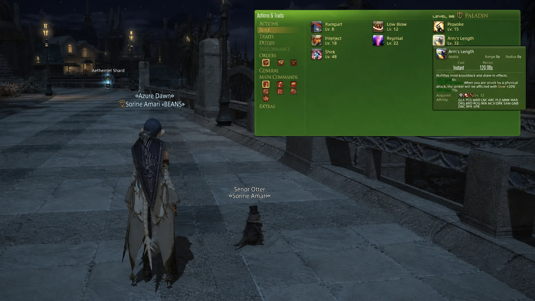 A Chocobo companion in the field.