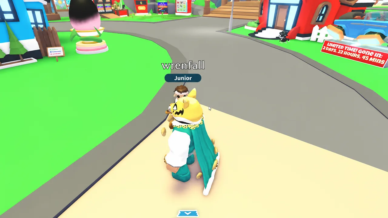 Player avatar wrenfall with a Junior rank standing on a town path in Adopt Me