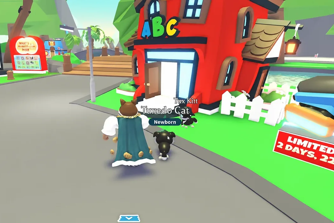 ABC school entrance with the player character and Tuxedo Cat pets near the open doorway