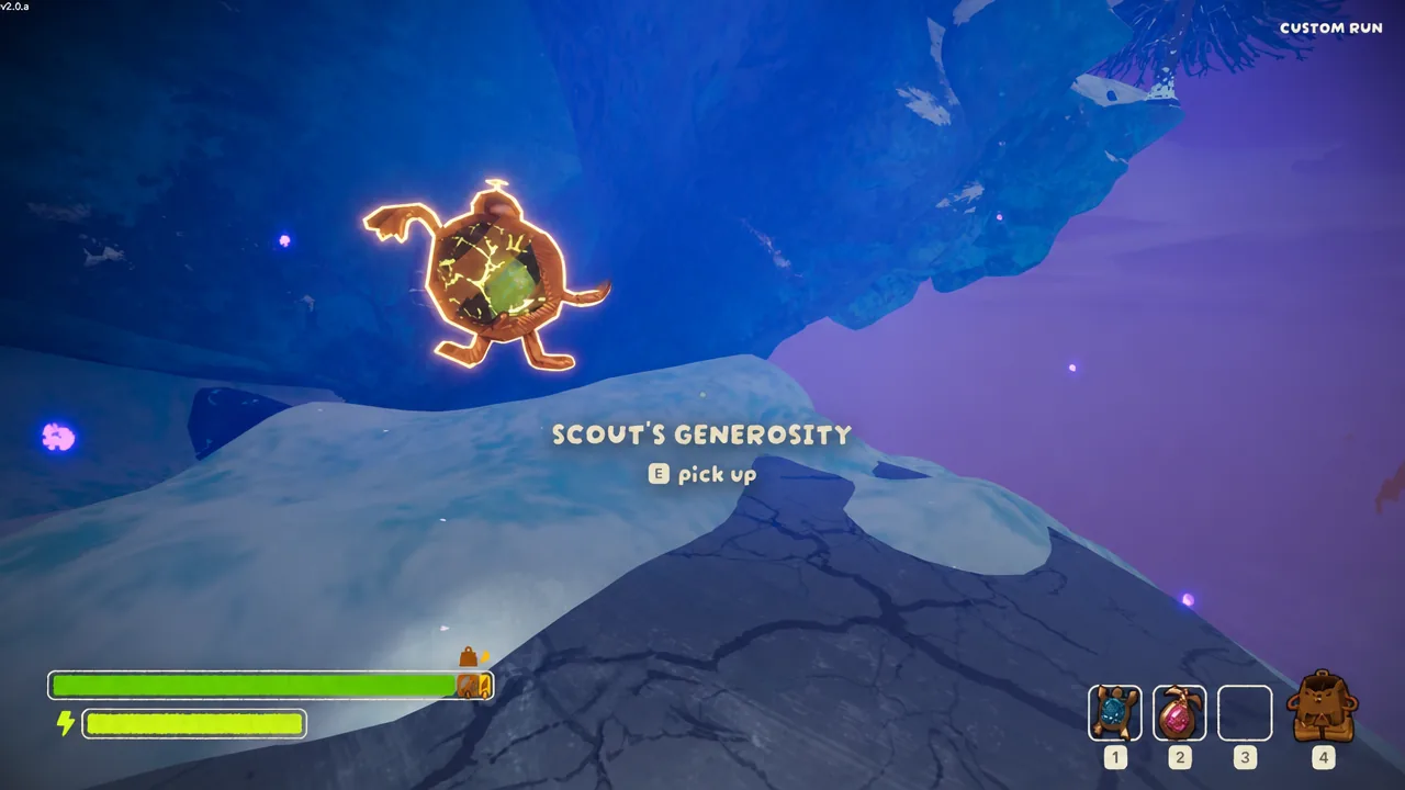 Scout's Generosity