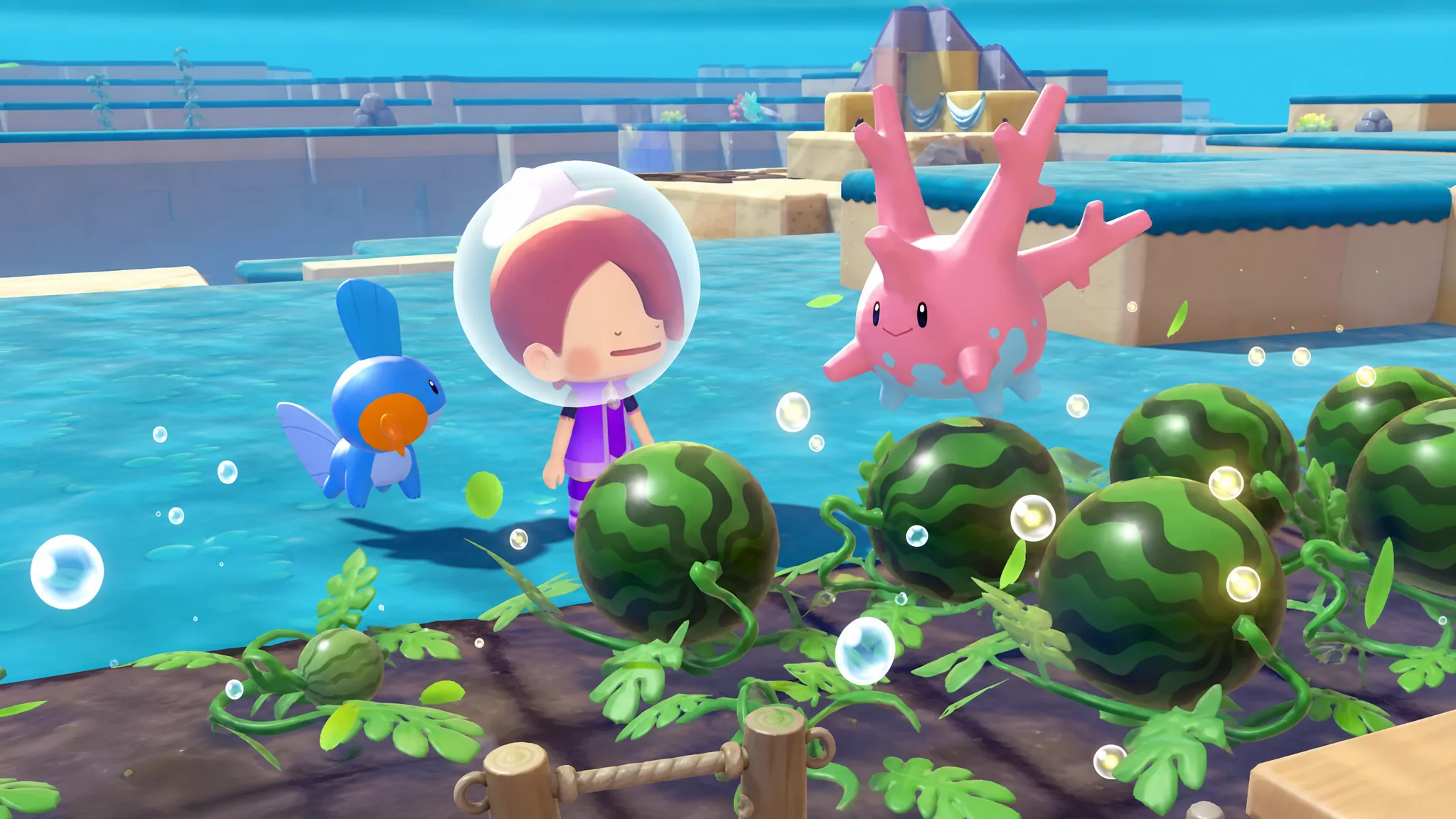 Growing watermelon in bubbly basin in pokopia