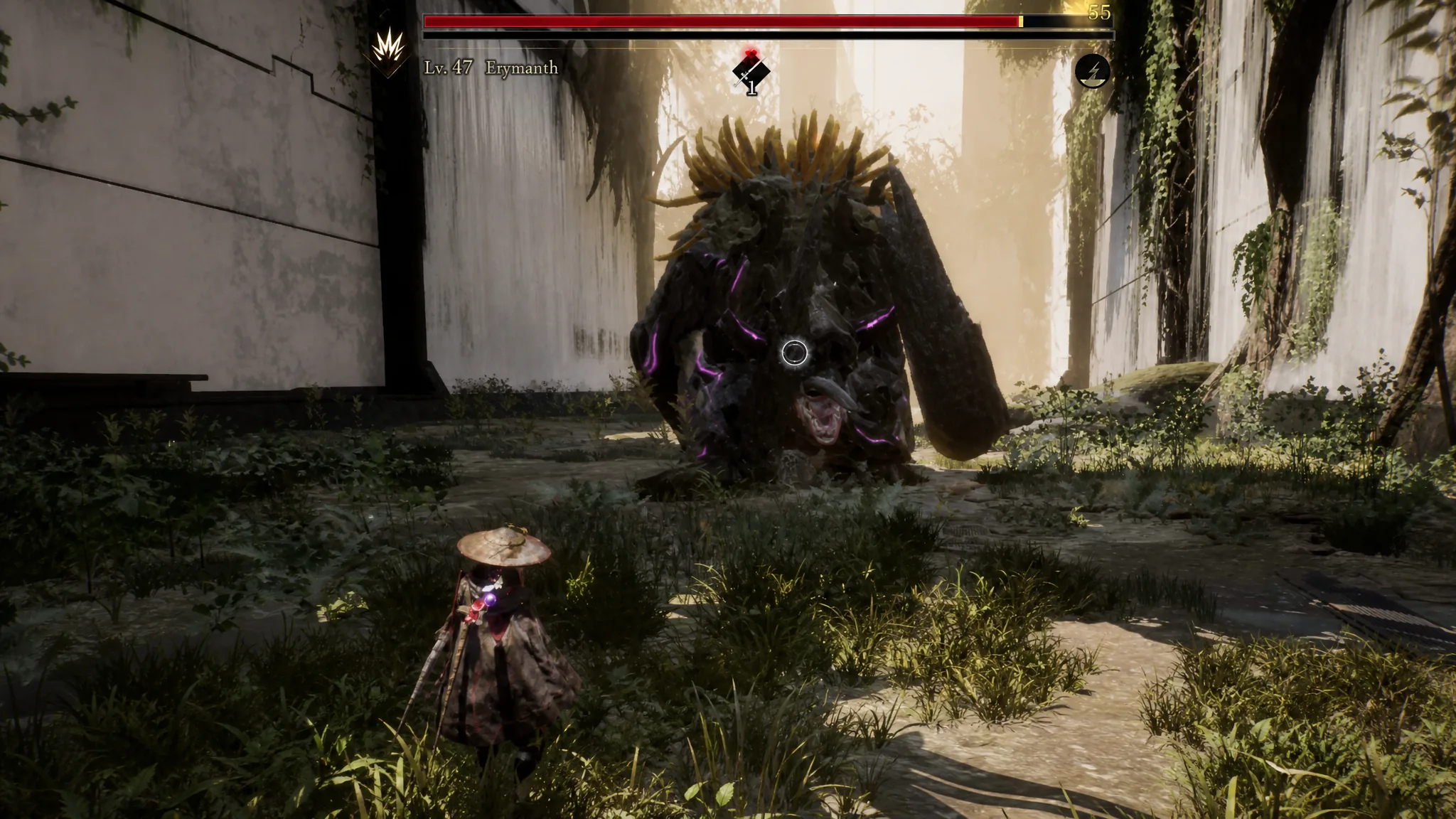 The Erymanth Nushi charging at Emma with its tusks