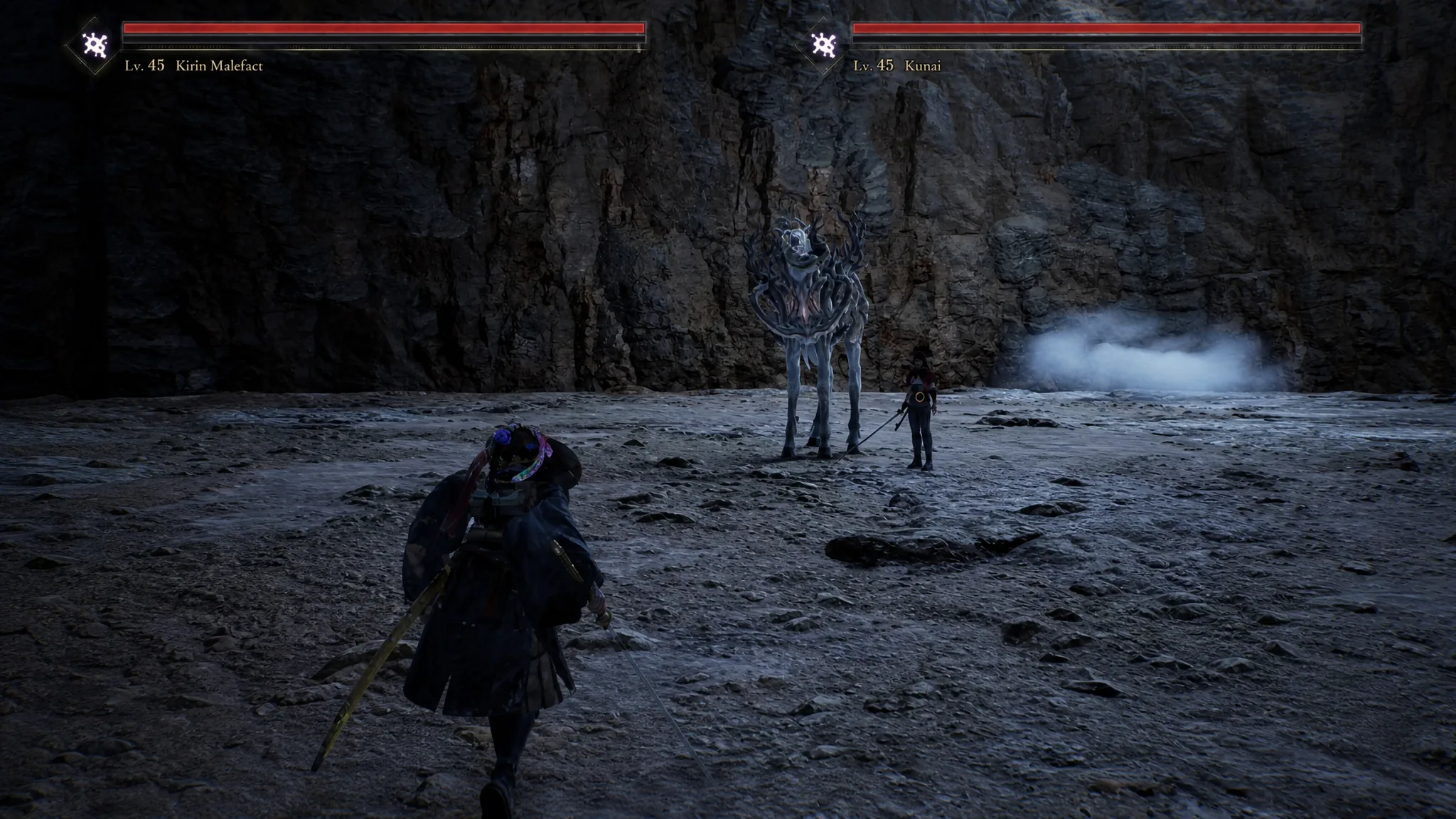 Kunai and Kirin boss fight in Beast of Reincarnation