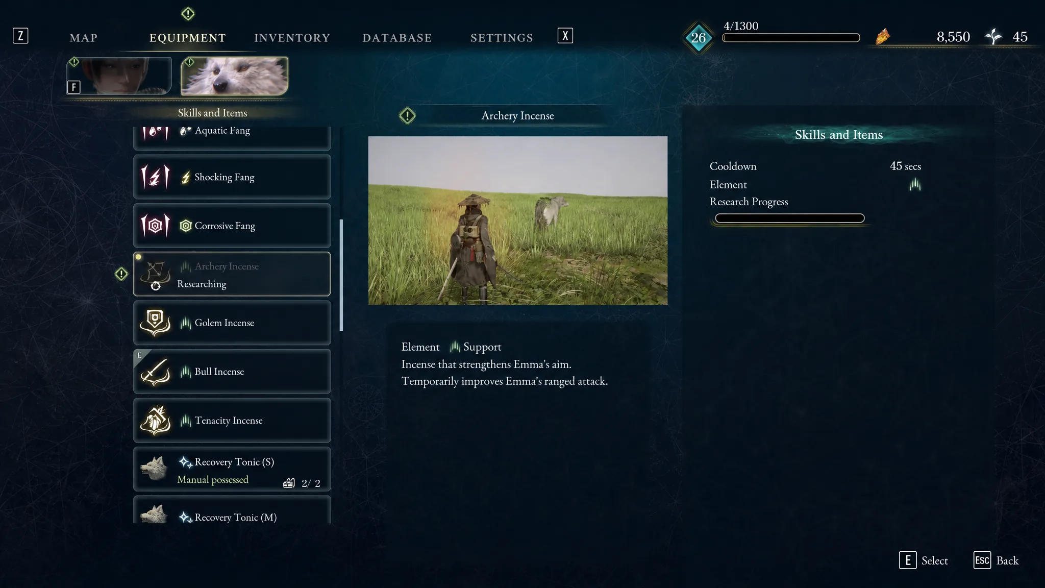 The Archery Incense Skill Amber is shown in Beast of Reincarnation