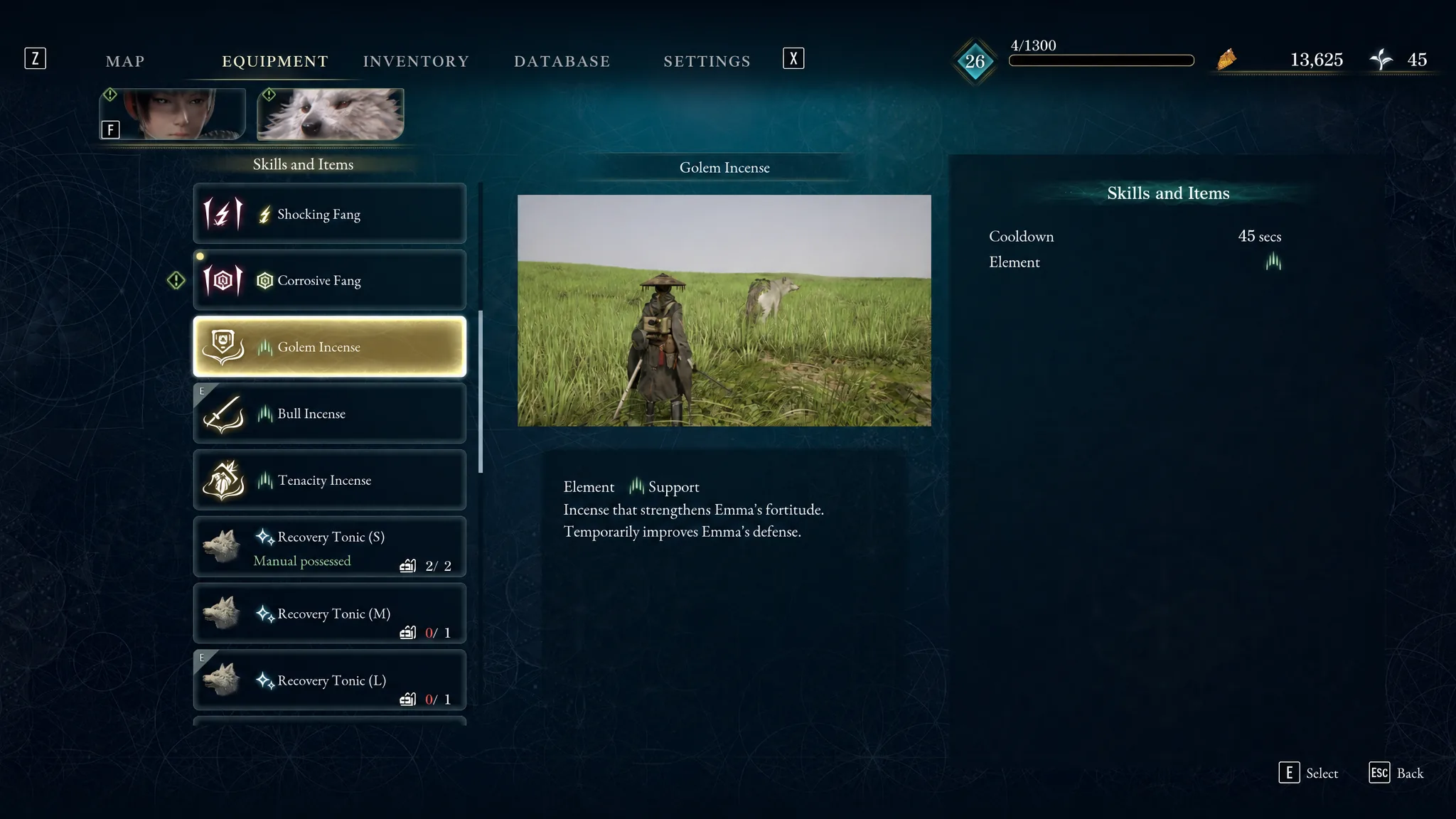The Golem Incense Skill Amber is shown in Beast of Reincarnation