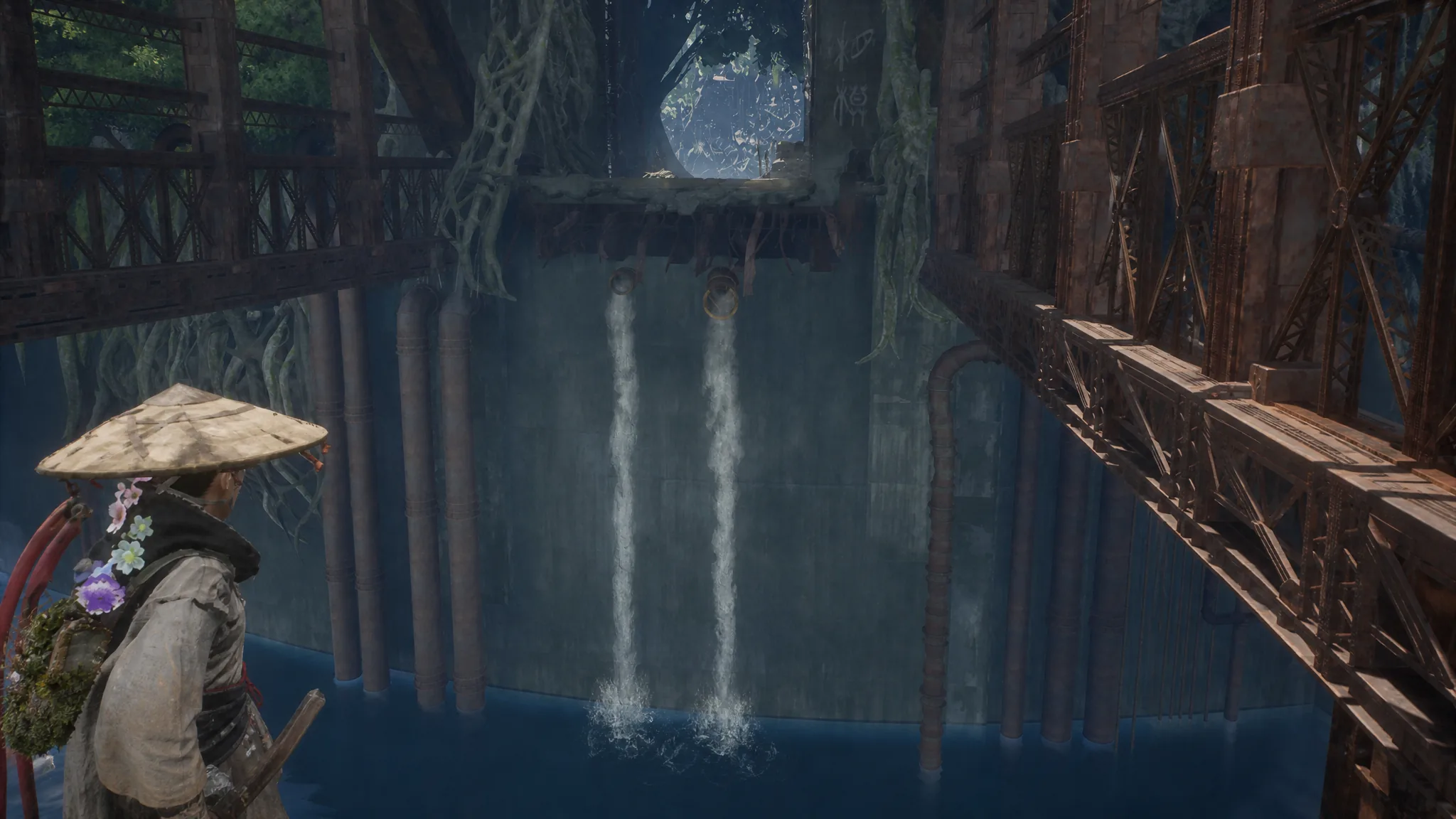 The pipe you need to hair-shot to in Beast of Reincarnation