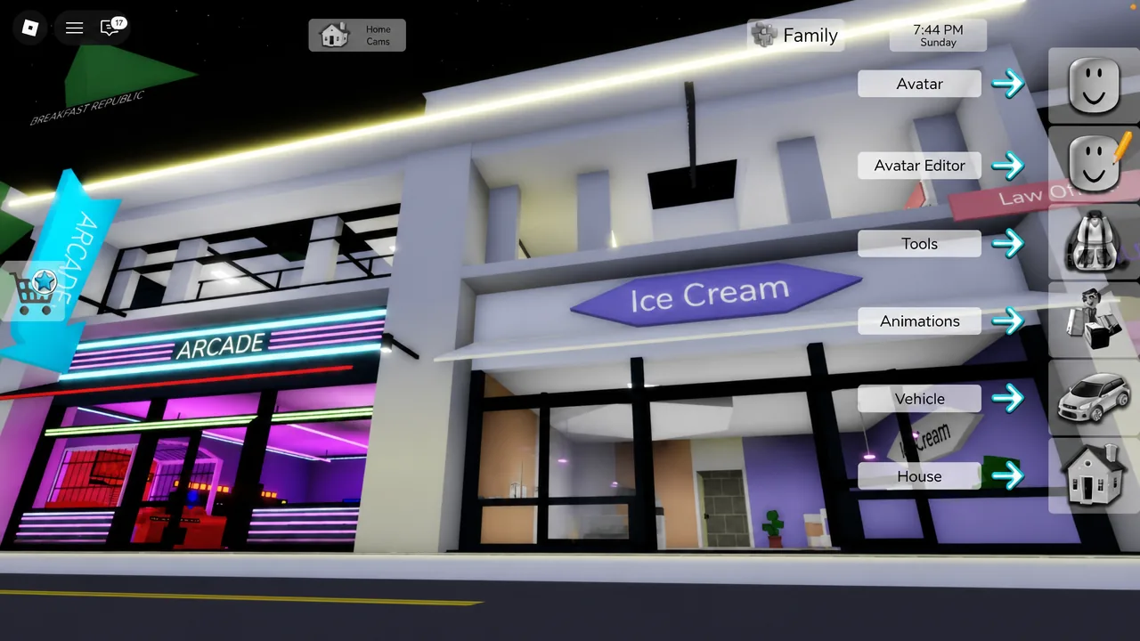 Roblox player