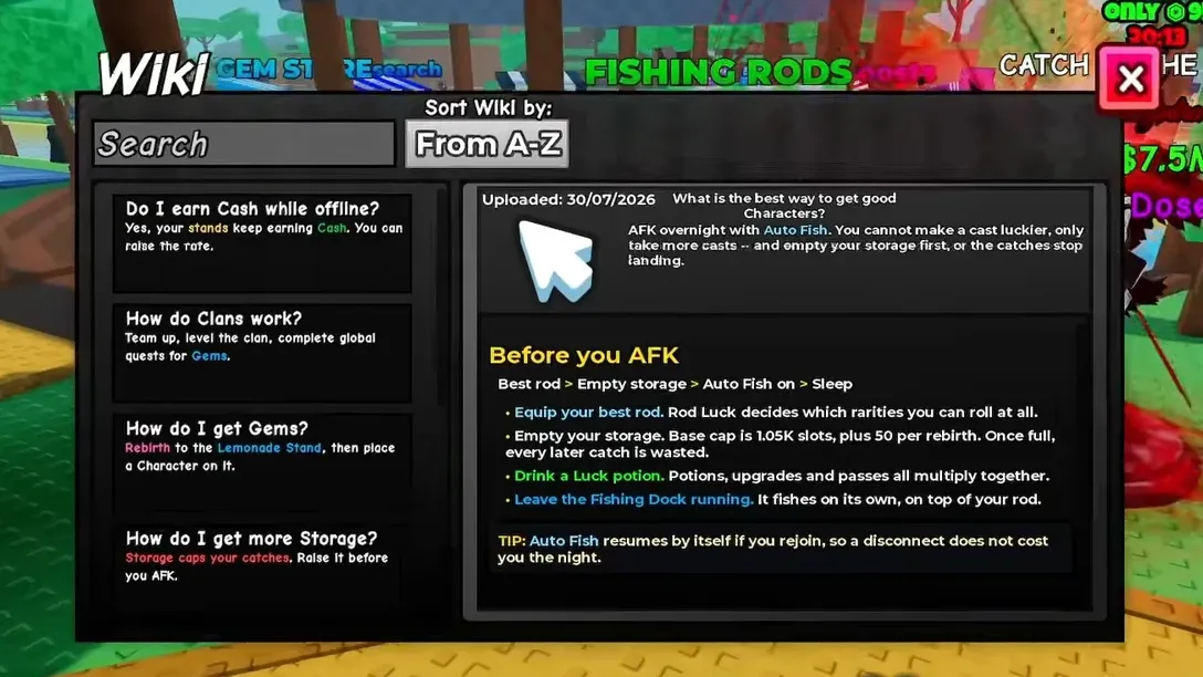 Wiki article explaining how to set up Auto Fish before going AFK