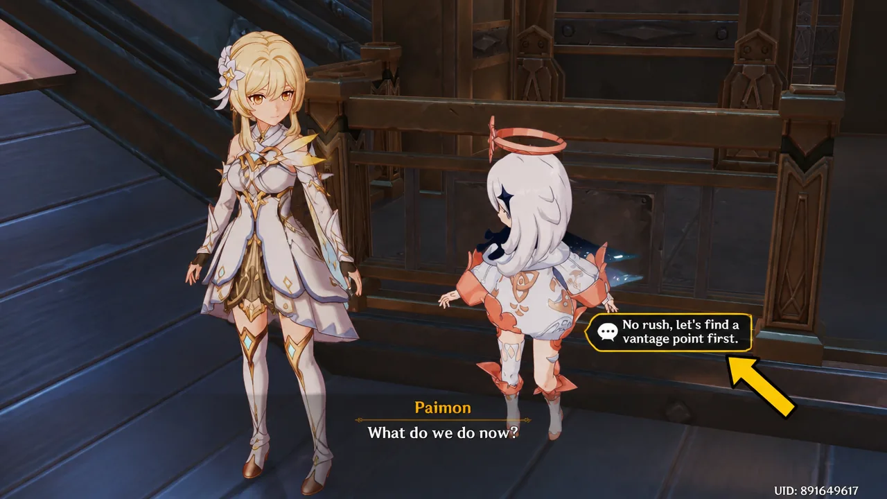 Dialogue option to find a vantage point first
