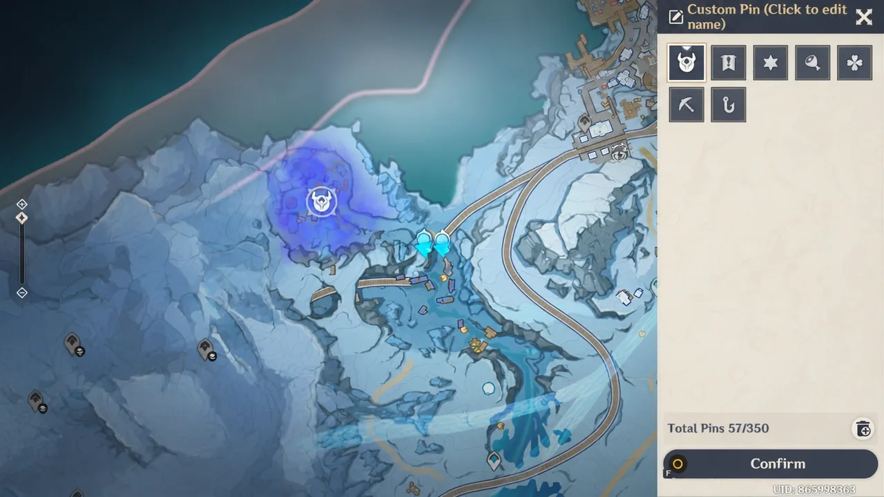 Custom Pin panel open with the horned pin icon selected before confirming placement on the map