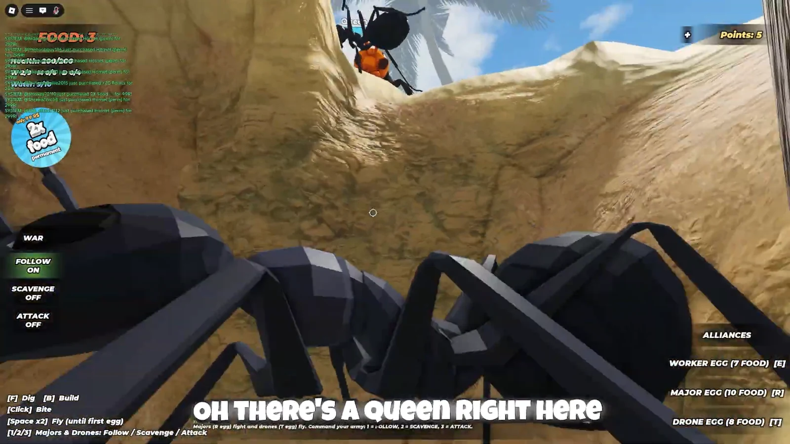Ants in a sandy nest with FOLLOW ON as the queen approaches a rival queen ahead