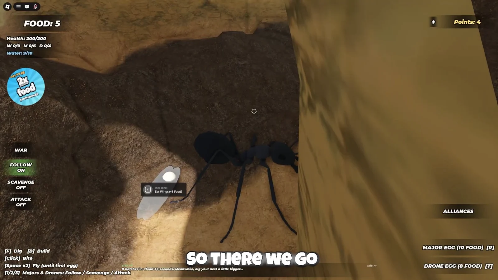 Shed Wings prompt highlighted, telling the player to press E to eat wings for 5 Food