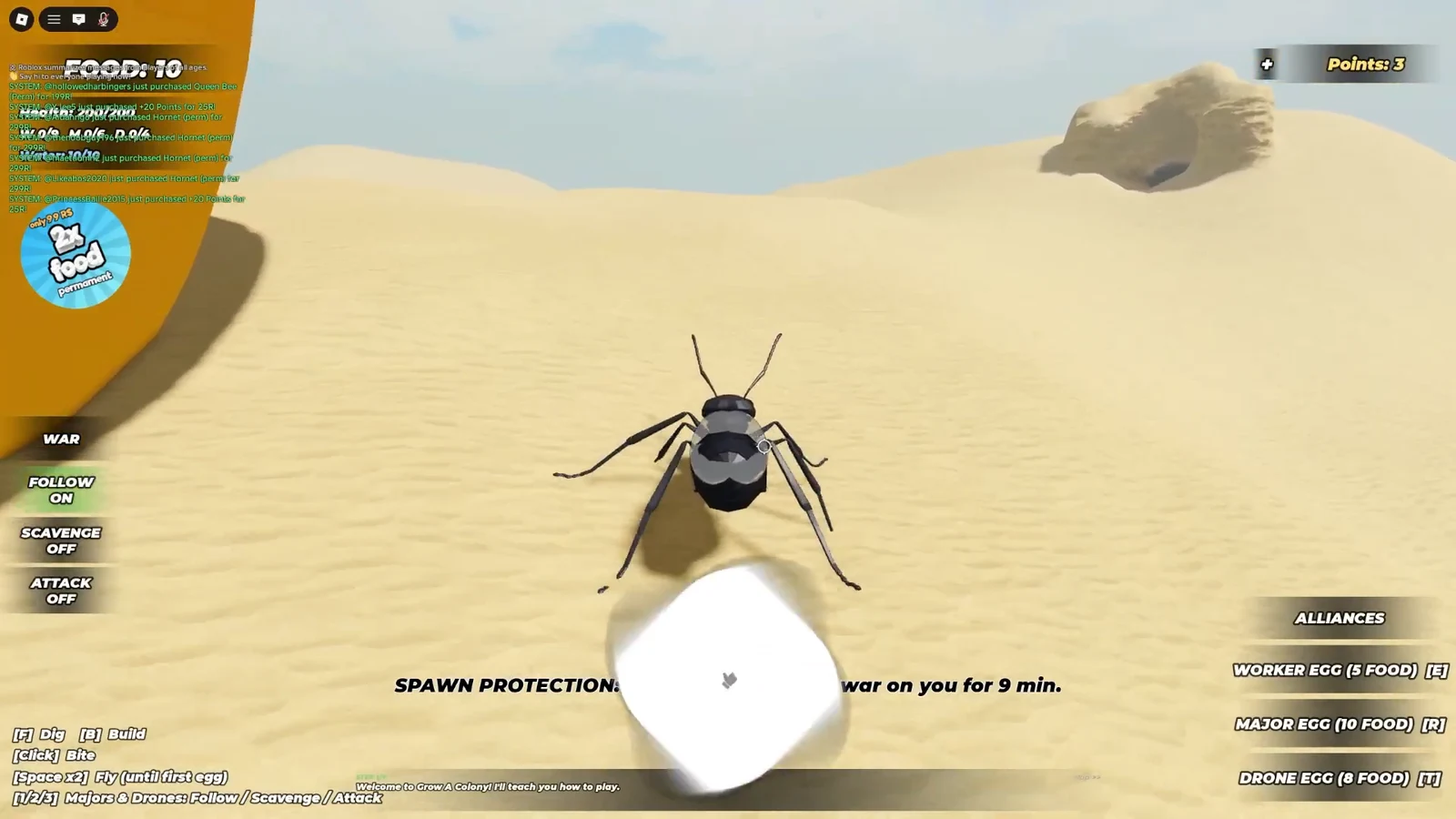 Worker ant selected in the desert with the FOLLOW ON command active and a spawn protection timer