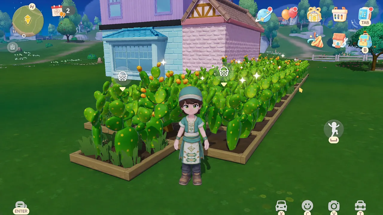 Harvest icons highlighting ripe Prickly Pear cactus crops in planter boxes